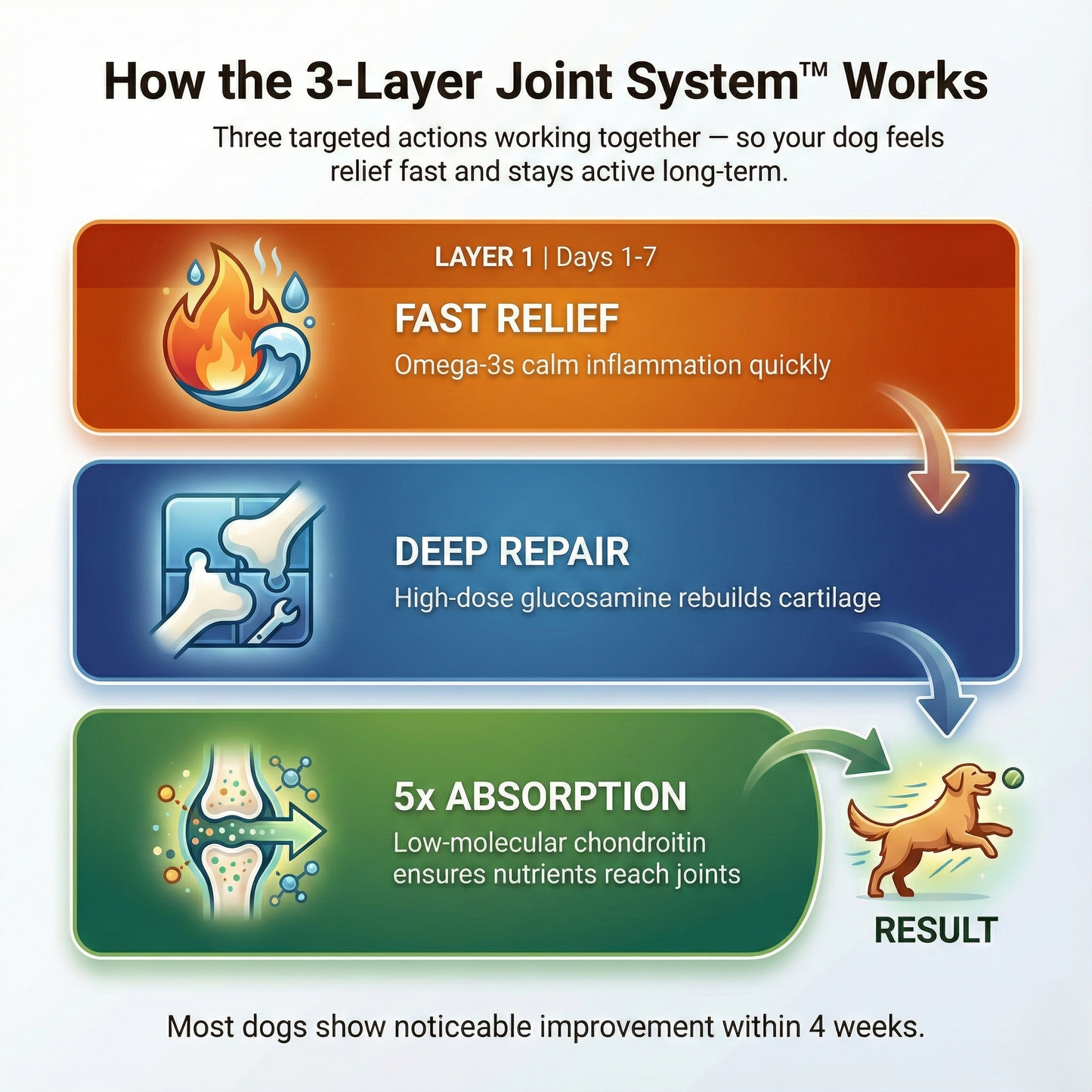 JointPaw™ Direct-Absorb Joint Chews