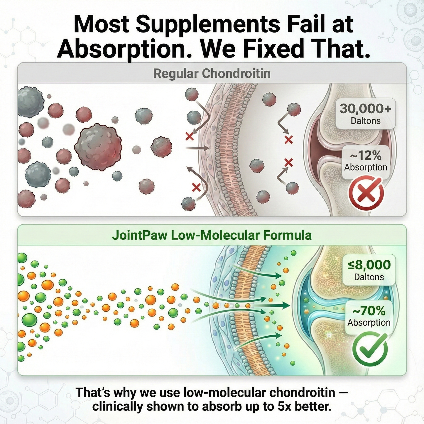 JointPaw™ Direct-Absorb Joint Chews