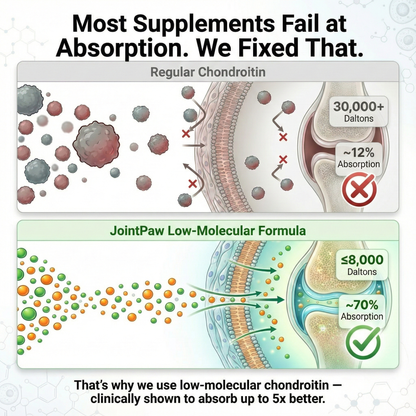JointPaw™ Direct-Absorb Joint Chews