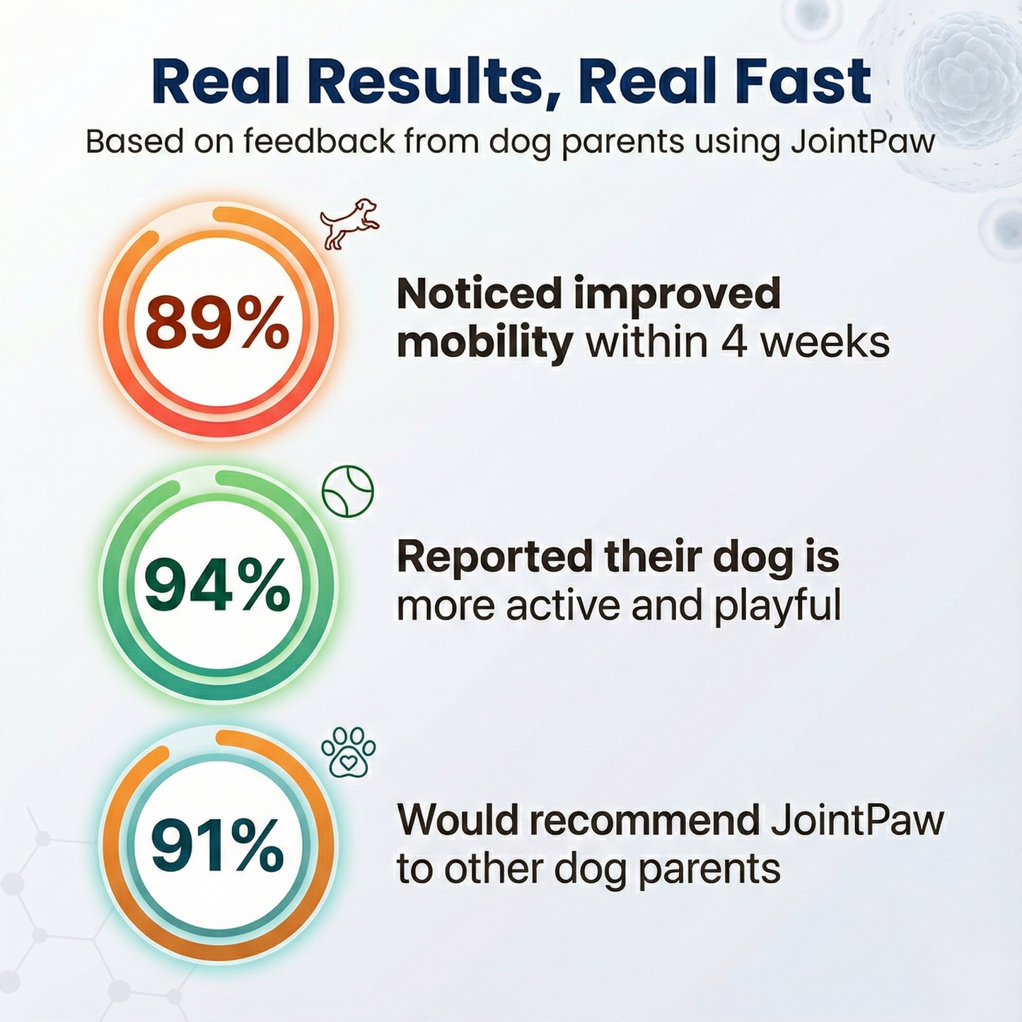JointPaw™ Direct-Absorb Joint Chews
